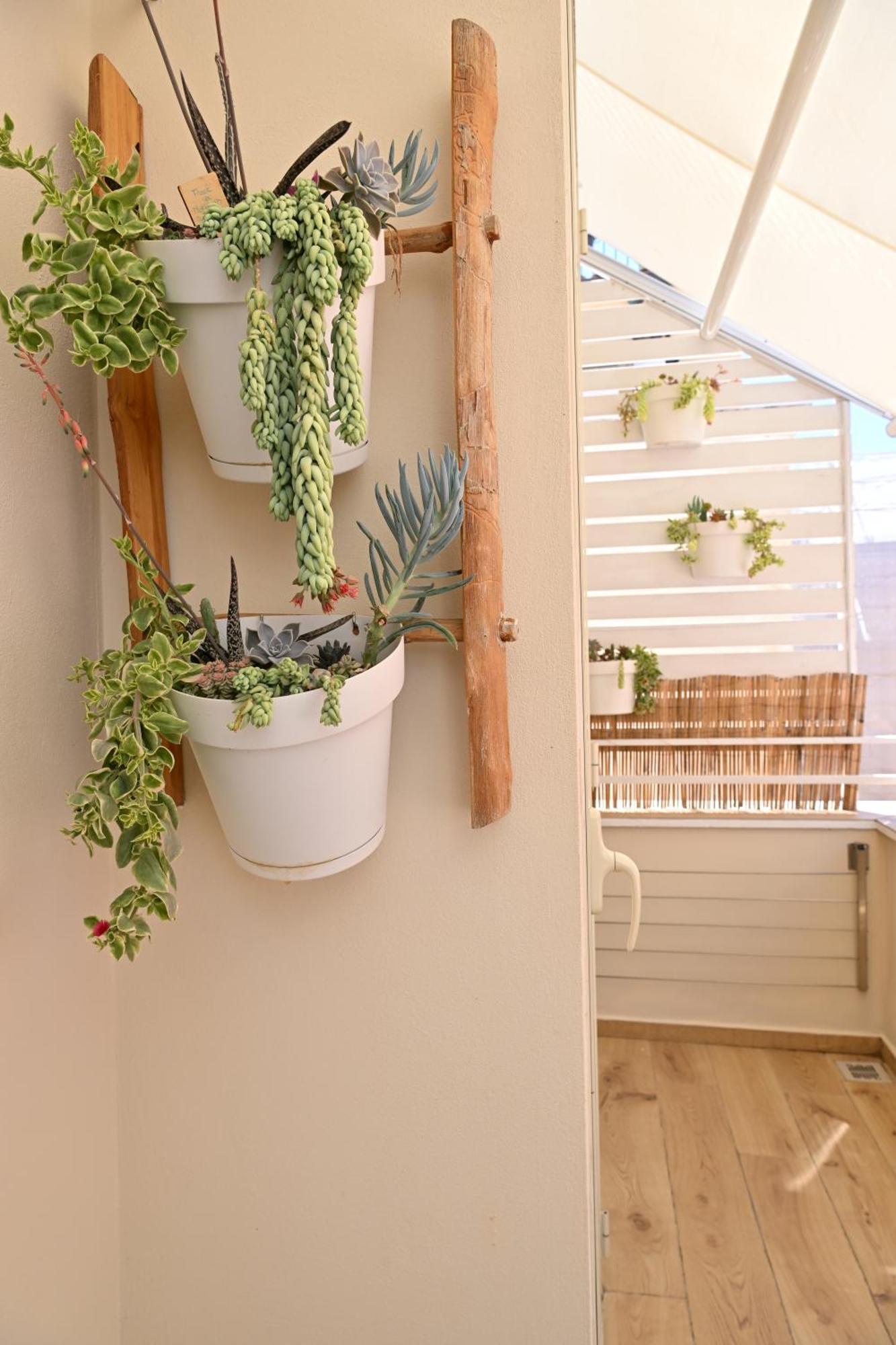 Apartamento The Sorabellas